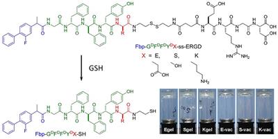 Co-assembled Supramolecular Nanofibers With Tunable Surface Properties for Efficient Vaccine Delivery